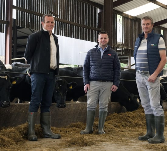 Improving calving and cow condition on 160-cow Wicklow farm