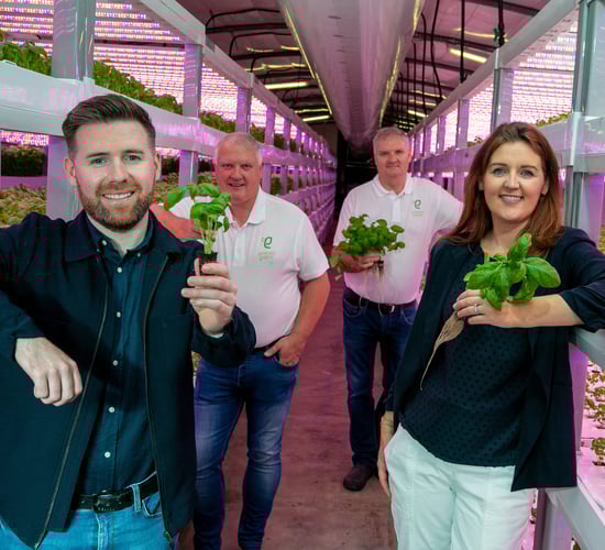 Mushroom producer turned vertical farmer signs contract
