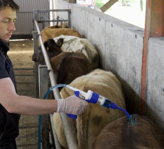 The importance of responsible fluke treatment at housing