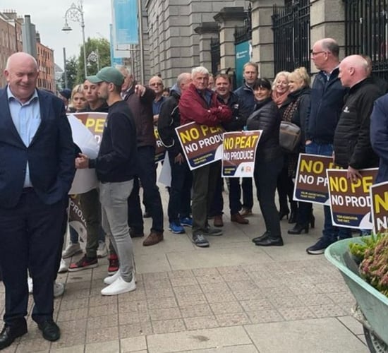 Horticulture sector 'abandoned': Growers protest in Dublin