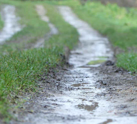 Weather: Unsettled with heavy rain at times, turning milder midweek