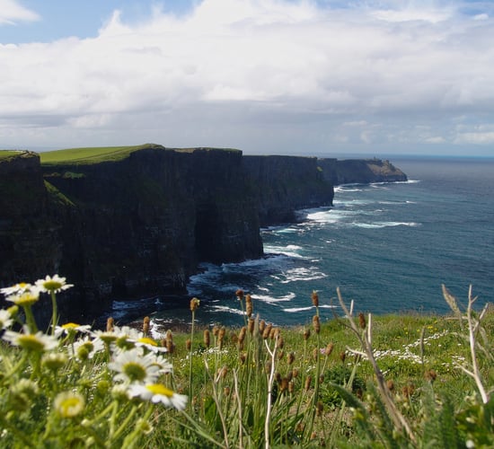 'Centralised dashboard' for Irish nature-related data recommended