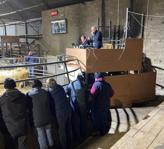 Cootehill Mart: 'Great relief' as Covid rules lift but some things will remain...