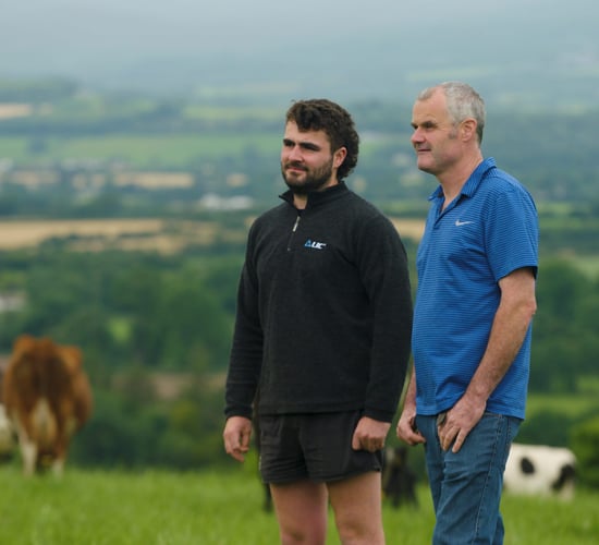 Improving breeding efficiency when using AI