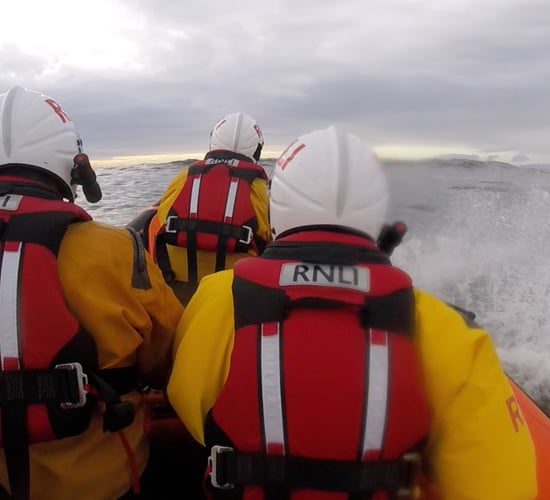 Donegal cow rescued by RNLI after drifting out to sea