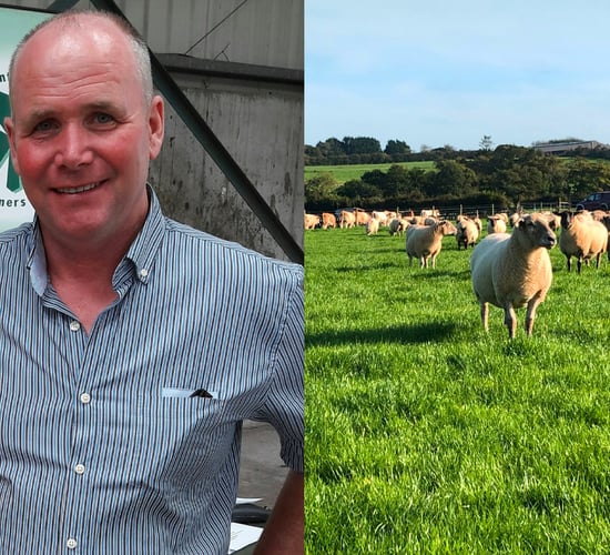 'No reason market conditions won’t remain strong for sheepmeat in 2022'