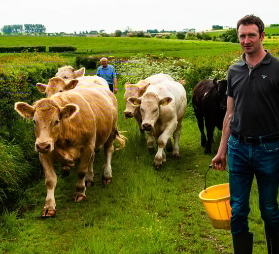 M&S commits to sustainable agriculture through 5-year programme
