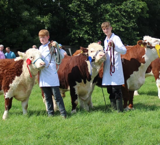 Details: Next Gen Herefords' youth competition this November