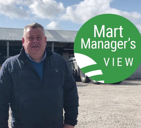 'Strong trade all round at Castlerea, with farmers looking to replenish numbers'