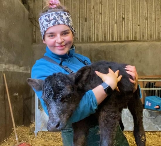 Friday: Follow Louth lady Annie around an 800ac mixed-farm in England