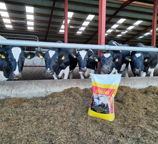 Lifeline pre-calver updates and improves formulation
