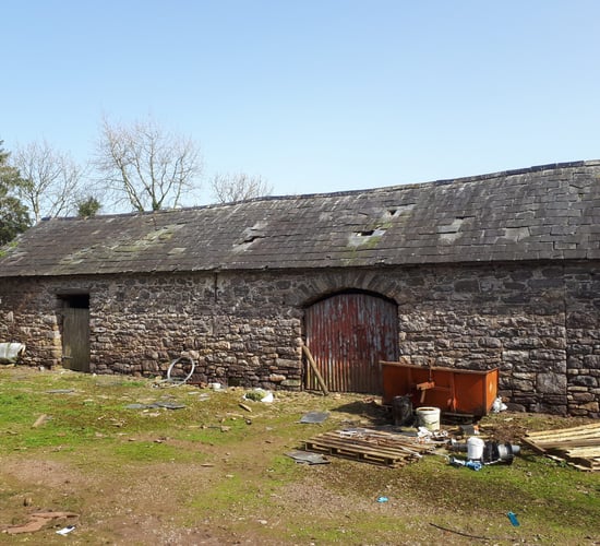 Restoration goal achieved by Kilkenny farmer