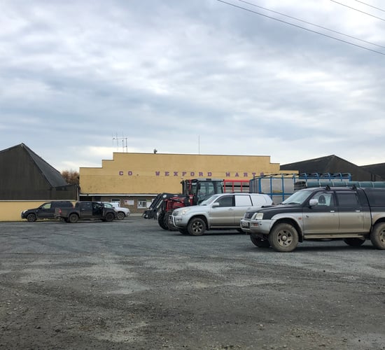 Mart report: Numbers ease but demand builds in Enniscorthy