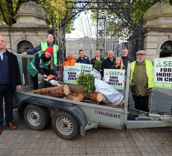 'Time for change' - SEEFA stages protest in bid to save forestry sector