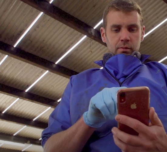 Technology driving success on Co. Tyrone farm