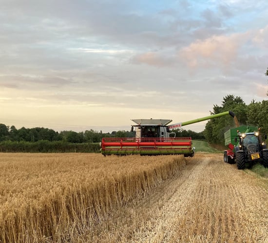 UK cereals harvest update amid sliding grain prices