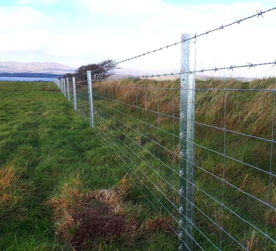 The future of fencing with Clipex - a revolution for Irish farming