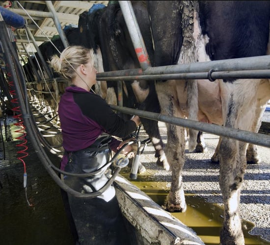 TAMS: More details on Woman Farmer Capital Investment Scheme
