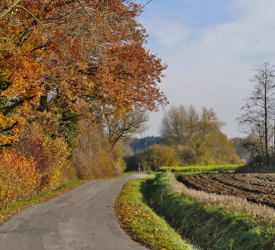 How can farmers make money from carbon farming?