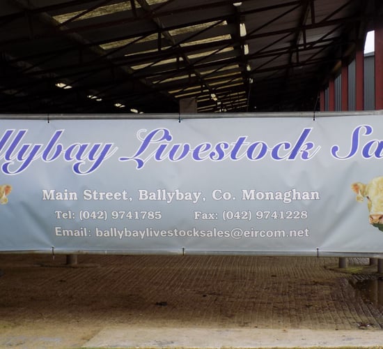 PSRA temporarily suspends licence at Ballybay Mart