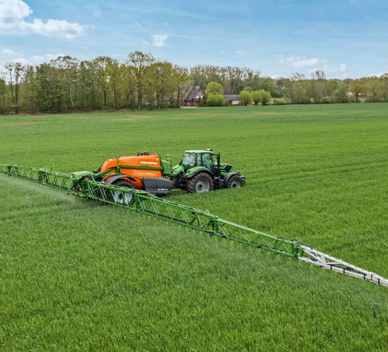 The spectre of yellow rust