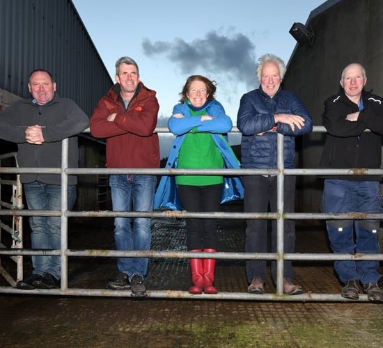 Kerry farmers to feature in creative climate action project in 2022