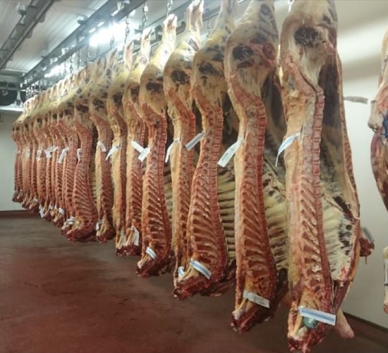 Beef kill: Supply drops below 24,500 in lowest kill this year