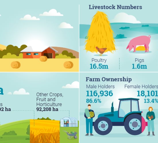 Census: Percentage of female farm holders up by 1% in a decade