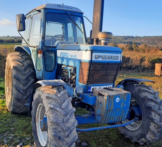 Pics: Top Ford fetches €21,000 at Cork Marts auction