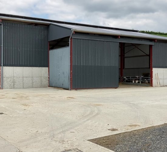 Back In Focus: A sheep, calf and finishing unit all under one roof in Tipperary