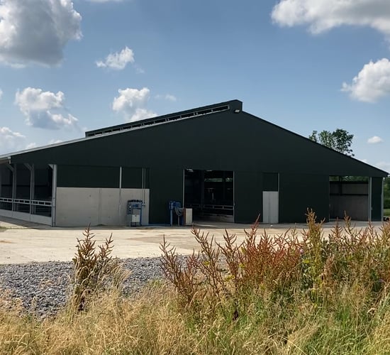 Back In Focus:  A 220-head capacity beef unit in Co. Longford