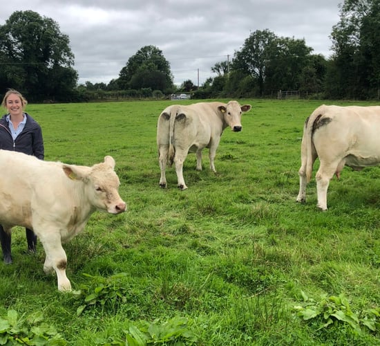 Beef Focus Revisit: Galway sisters producing prime suckler progeny