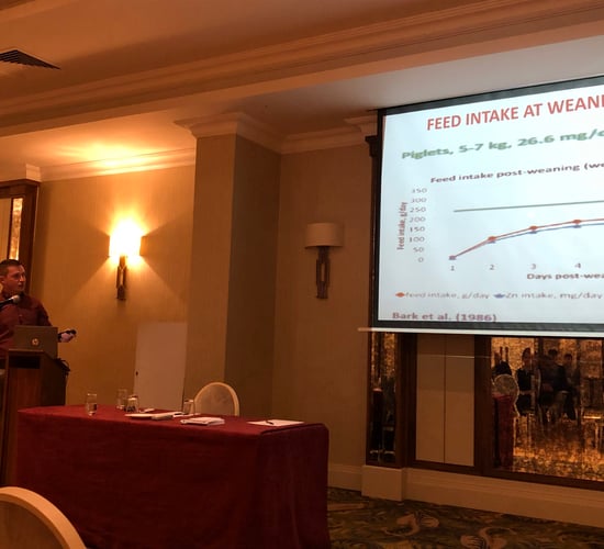Changes to zinc use in pig feed discussed at seminars
