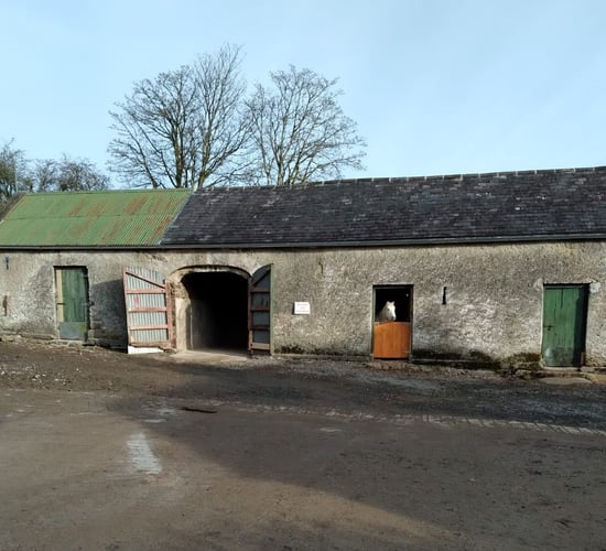 GLAS traditional buildings: 200 years of heritage in Laois stable