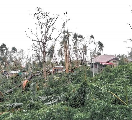 Irish dairy farmer's donation appeal after massive storm in Philippines