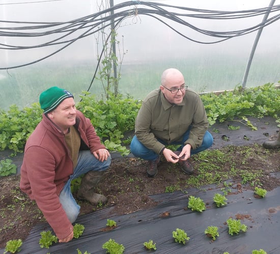 MacManus: Minister 'asleep at the wheel' on organic farming
