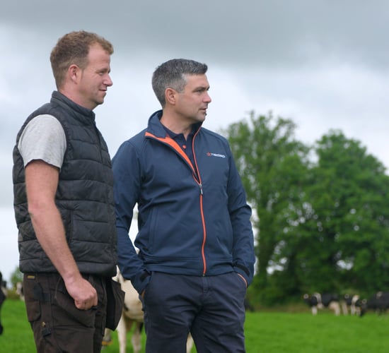 Monitoring Cork herds for heat and health analysis