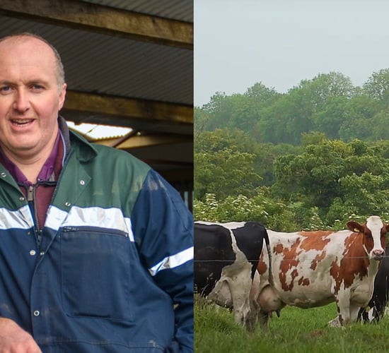 Interview: 'CAP review hugely concerning' says ICMSA president