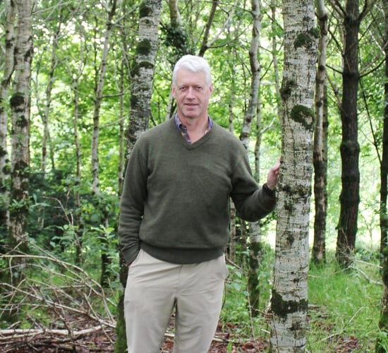 Tree planting policy for NI described as 'not fit for purpose'