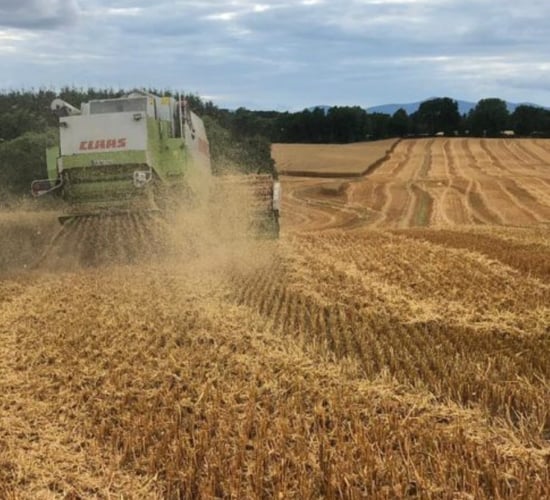 What is the value of chopped straw?