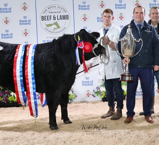 Major prices paid at Royal Ulster Beef and Lamb Championships
