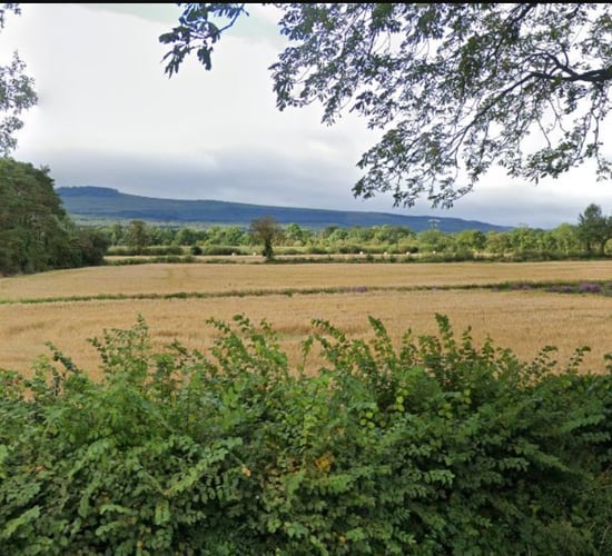 IFA deputy president demands level playing field for tillage sector