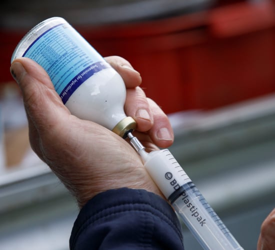 Co-ops 'aggrieved' by minister signing vet medicine rules into law