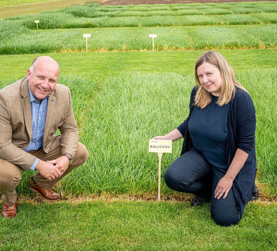Ballyvoy and Dundrod - two new perennial ryegrass varieties from AFBI