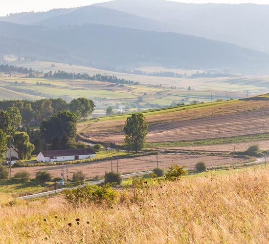 World Farmers' Organisation to return to in-person General Assembly