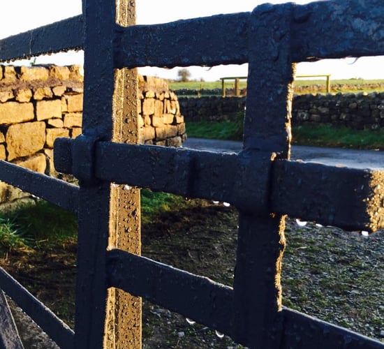 Calls for Garda 'Rural Crime Unit' to combat thefts on farms