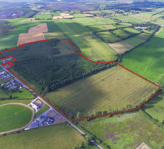 'Attractive' forestry plantation hits the market