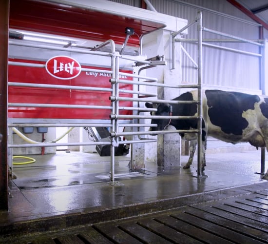 New Lely base confirmed for Kilkenny to serve southeast