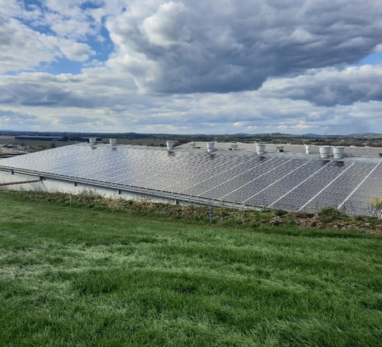 Renewable profit opportunities growing for farmers