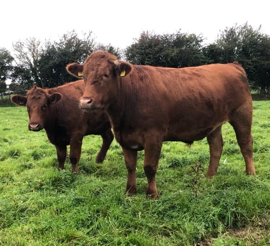 ACA to host series of organic farm walks across the country